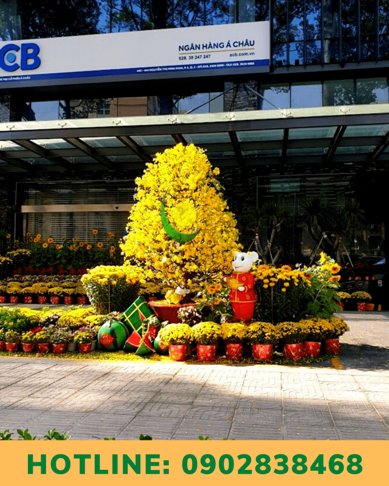 CHO THUÊ MAI VÀNG CHƯNG TẾT TRỌN GÓI