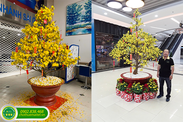 DỊCH VỤ CHO THUÊ MAI TẾT NĂM 2025