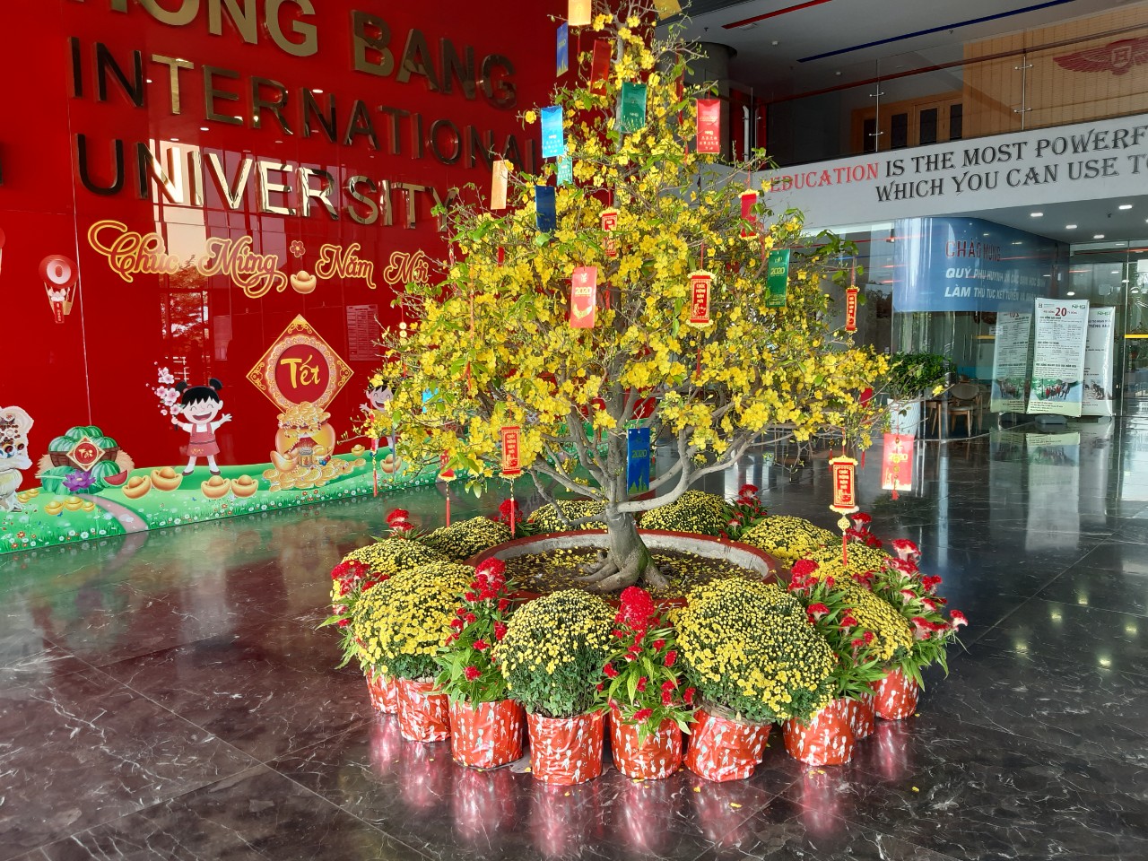 DỊCH VỤ CHO THUÊ MAI TẾT TRỌN GÓI