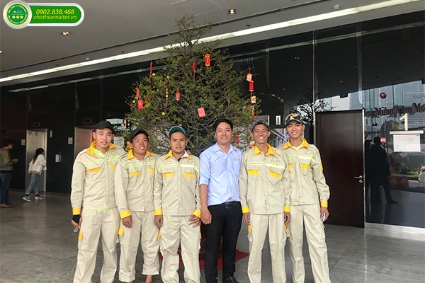 GIÁ THUÊ MAI TẾT 2024 TPHCM